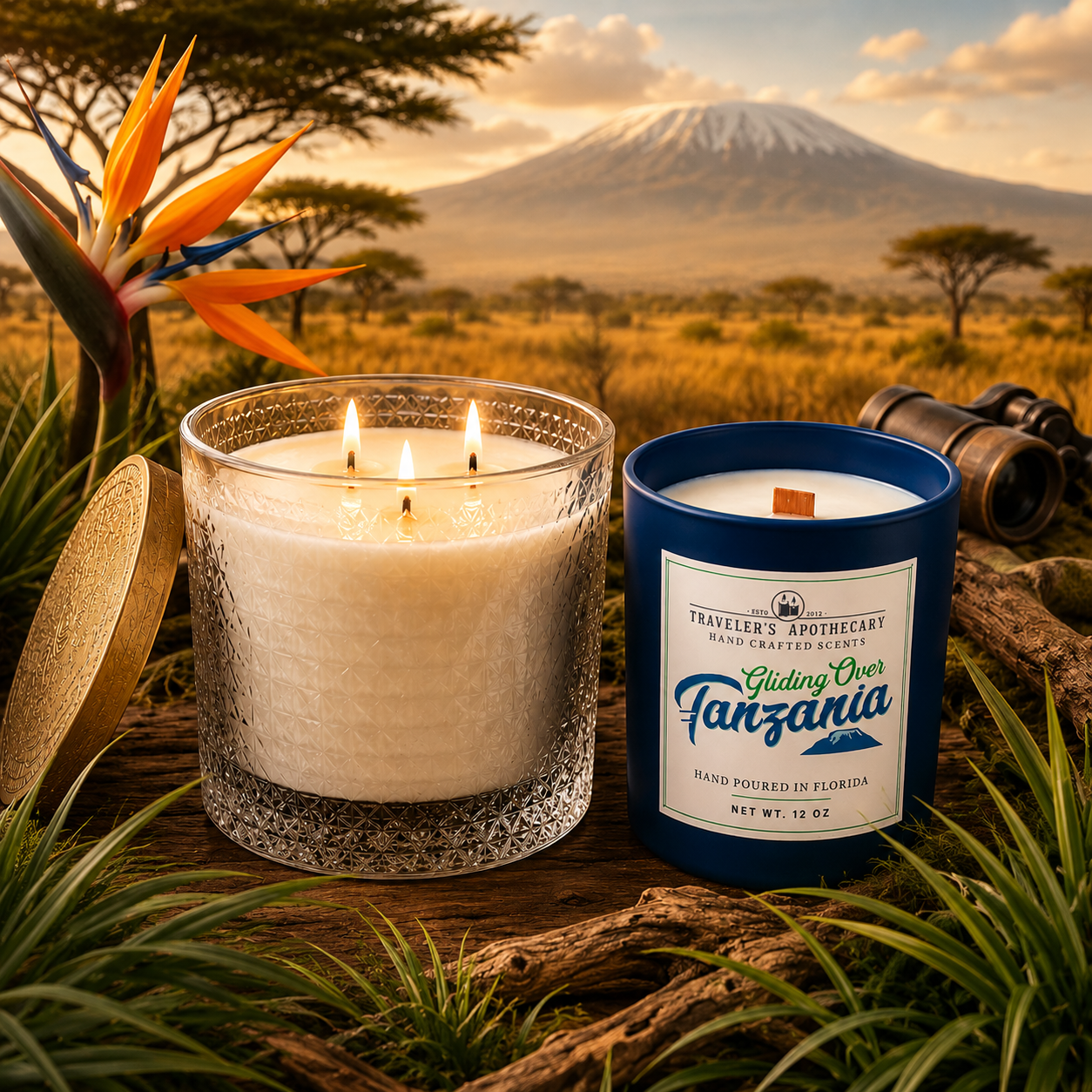 Gliding Over Tanzania